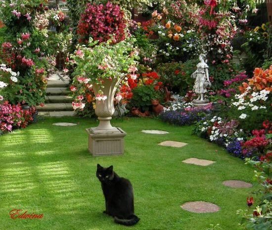 Pet safe gardens