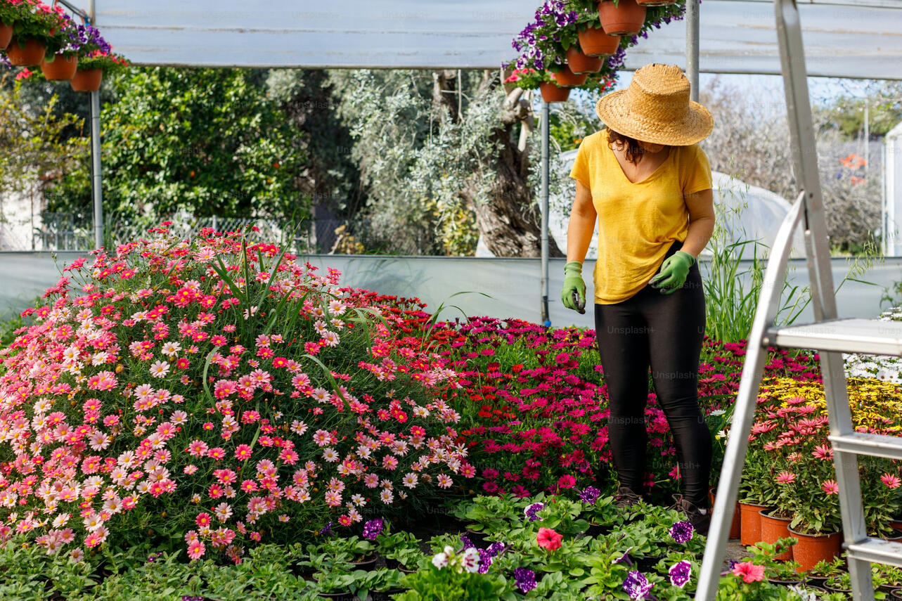Flower Beds