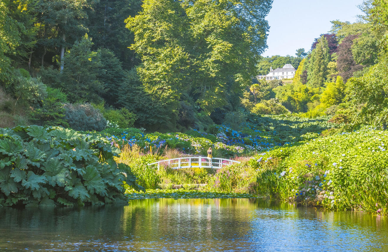 Water feature integration