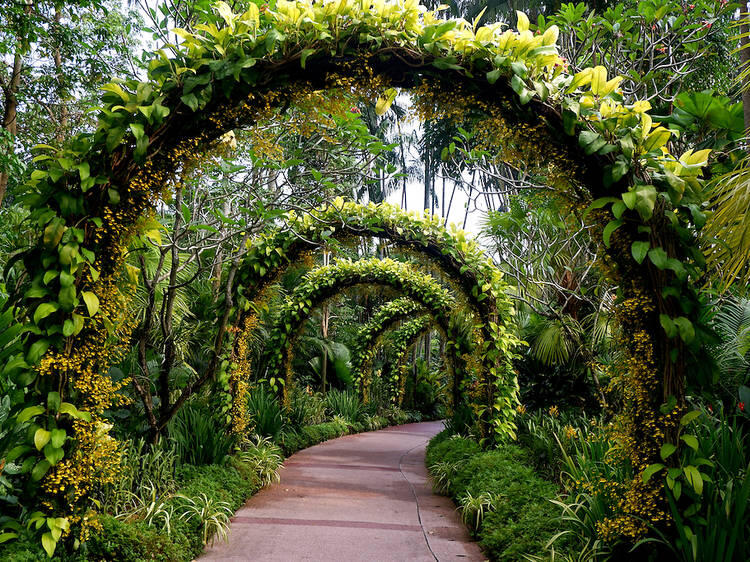 Garden Walks