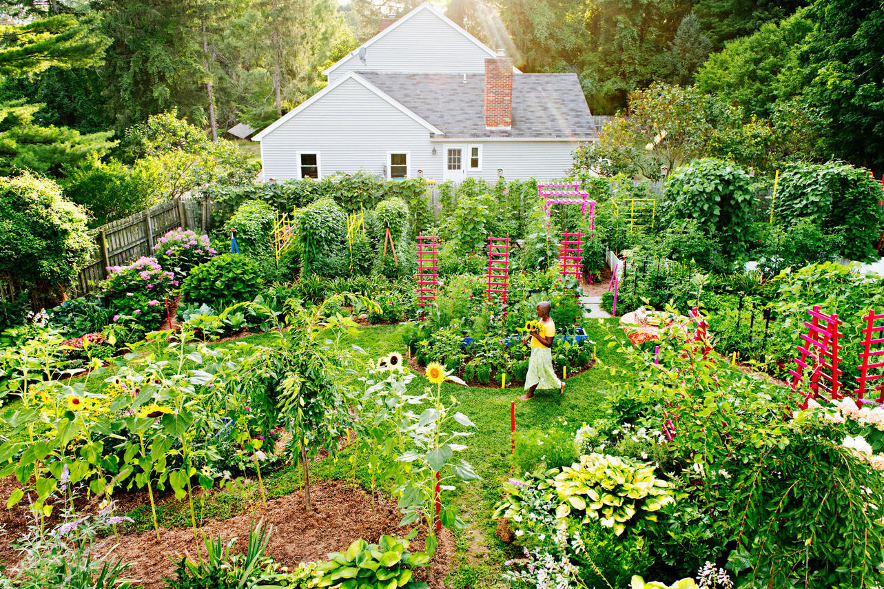 Vibrant gardens